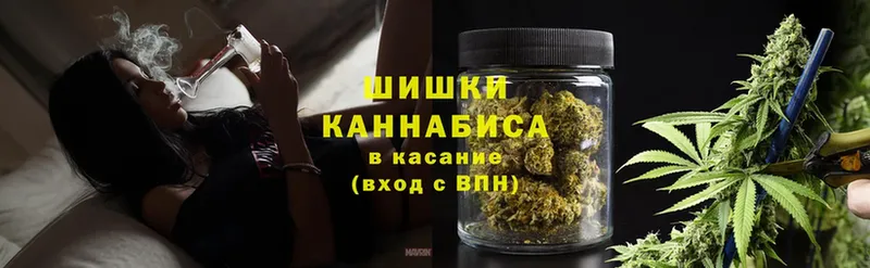 Конопля SATIVA & INDICA  где купить наркоту  Благовещенск 